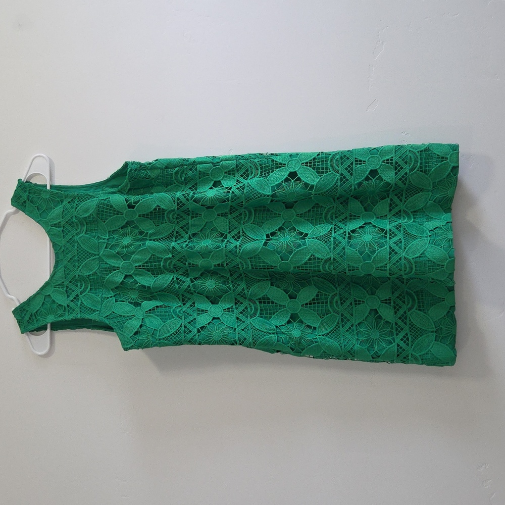 Anthropologie Green Lace Shift Dress - Picture 4 of 8